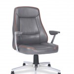 Liva Misafir Koltuğu