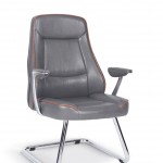 Liva Misafir Koltuğu