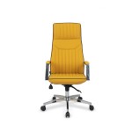 Nexus Yönetici  Koltuğu (Profil Kol)